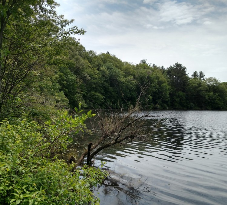 mansfield-hollow-state-park-photo